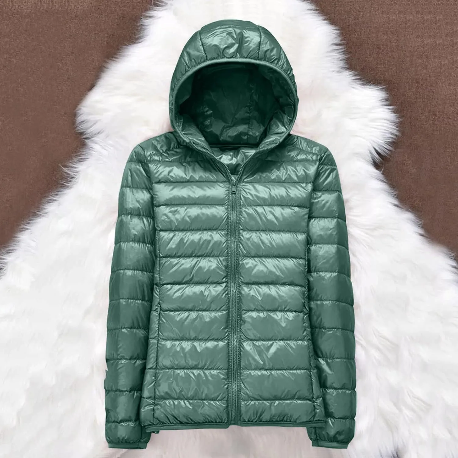 Womens 2024 Warm Lightweight Hooded Windproof Winter Coat Long Sleeve Casual Down Coat Home Outdoor Quilted Puffer Coat